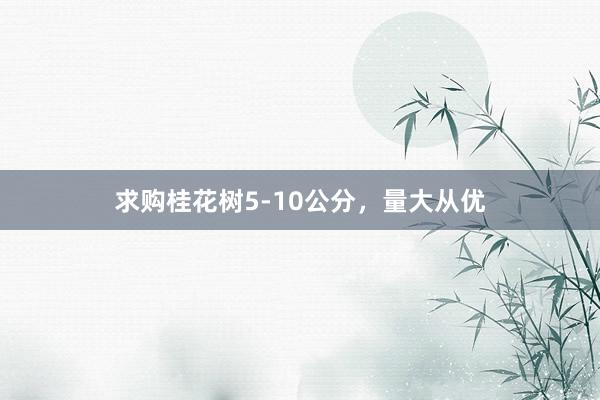 求购桂花树5-10公分，量大从优