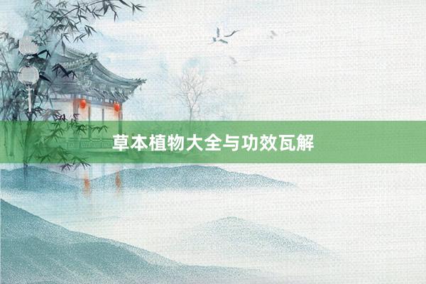 草本植物大全与功效瓦解